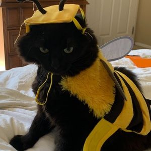 Getting ready for Halloween 🎃